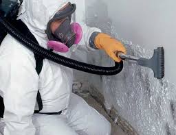 Best Mold Documentation for Insurance Claims  in Port Orange, FL